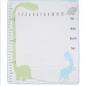 NWT Baby Milestone Blanket